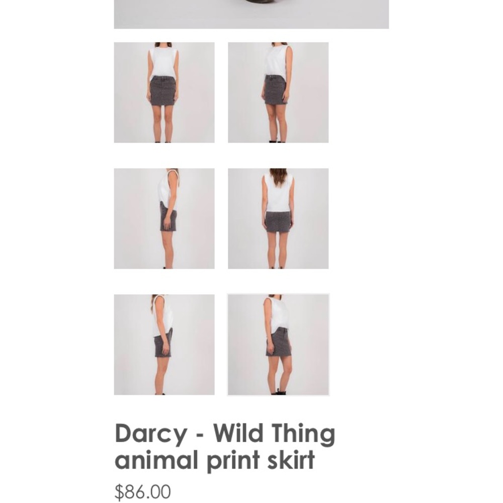 Darcy - Wild Thing animal print skirt